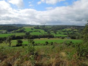 Maisons de vacances Holiday Home in Limoges with Saltwater Pool : photos des chambres