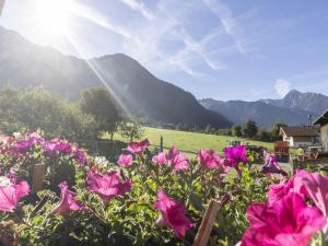 Moiklerhof holiday home in Ramsau im Zillertal