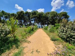 Villas Villa in Camplong with Pool and Valley Views : photos des chambres