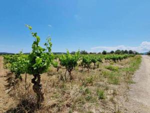 Villas Villa in Camplong with Pool and Valley Views : photos des chambres