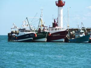 Maisons de vacances House near Utah Beach with Playground : photos des chambres