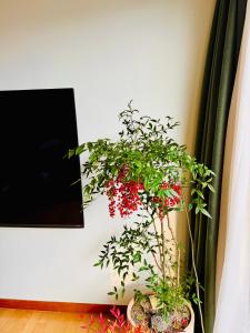 Verve Seoul Gangnam Family & Friends