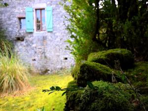 Maisons de vacances House near Cahors with Private Natural Retreat : photos des chambres