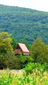 Mira Hills - Ubytování bez kategorie ve městě Martvili