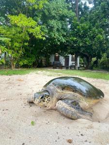 Magnolia House Mirissa