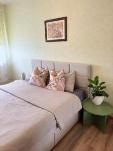 Linnupesa Apartement