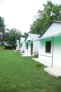 Cheers and Company Farms