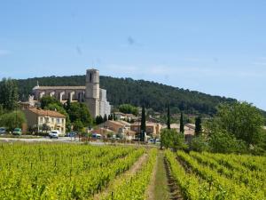 Maisons de vacances Villa in Provence with Pool and Vineyard Views : photos des chambres