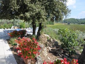 Maisons de vacances Villa in Provence with Pool and Vineyard Views : photos des chambres