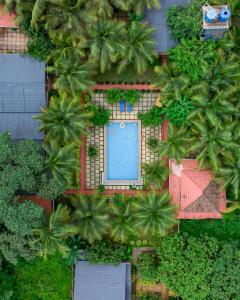 White Truffle Resort, Arambol
