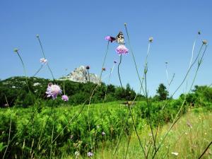 Quiet country side cottage near nature park Velebit