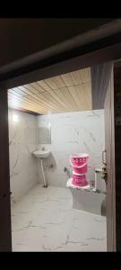 Ladli Ju Somnath Nivas