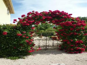 Appartements Apartment in Montbrun-les-Bains near forest : photos des chambres