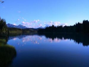 Apartment in the Allgäu with view of the Bavarian Alps