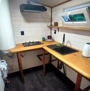 Eco glamping - Carpathians. Retreat hub Dzin Space