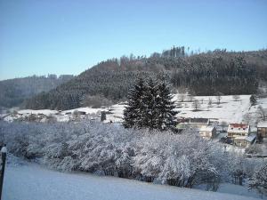 Maisons de vacances Holiday Home in Walscheid near Forest & Lakes : photos des chambres