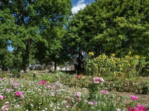 Maisons de vacances House with stunning views across the meadows : photos des chambres