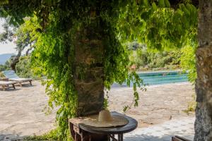 Villas Mas provencal avec piscine chauffee, tennis, petanque, vue mer, 20 min St Tropez : photos des chambres