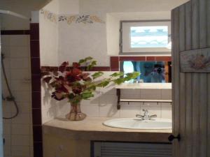 Charming Cottage in Oppède amidst Vineyards