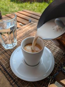 Cosy flat in central London