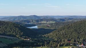 Wonderland Apartamenty