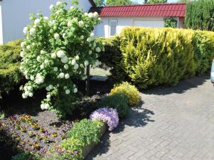 Comfortable Apartment near Seabeach in Rerik