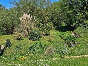 Maisons de vacances Holiday Home in Saint-Pierre near River & Spa : photos des chambres