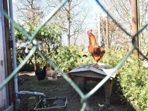 Cozy Apartment in Rerik with Sea Near