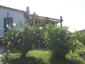 Holiday Home with Garden in Kritinia