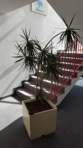 Hotels Fasthotel Tarbes Semeac - Un hotel FH Confort : photos des chambres