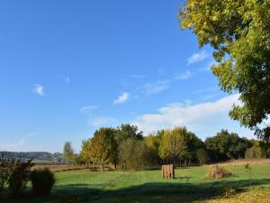 Maisons de vacances Spacious Holiday Home in Saint-Nexans with Terrace : photos des chambres