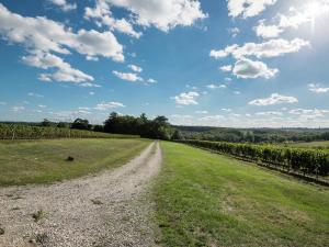 Maisons de vacances Spacious Holiday Home in Saint-Nexans with Terrace : photos des chambres