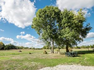 Maisons de vacances Spacious Holiday Home in Saint-Nexans with Terrace : photos des chambres