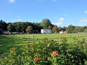Modern Apartment in Noordwijk near the Sea