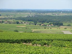 Maisons de vacances Chic Apartment in Segonzac with Swimming Pool : photos des chambres