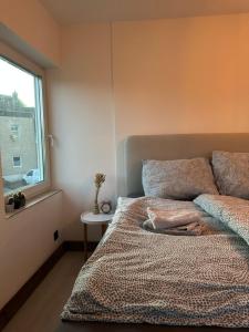 Flamingo 1 - Traumhaftes Wohnen mit Terrasse - zentral und stilvol