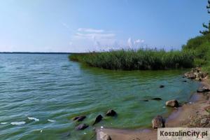 Holiday home in Osieki near a lake