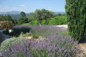 Appartements Apartment in Montauroux with Pool & Forest Views : photos des chambres