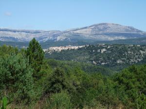 Appartements Apartment in Montauroux with Pool & Forest Views : photos des chambres