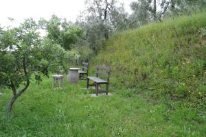 Holiday home Cerbaiola, Lamporecchio