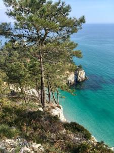 Maisons de vacances Tytoine : Maison de Vacances 4 Chambres