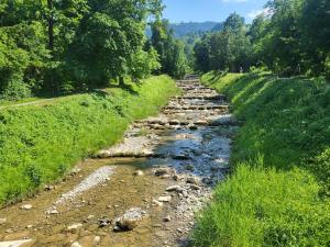 Charming, quiet and close to nature apartment