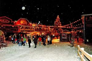 Harz Holiday Park, Hasselfelde