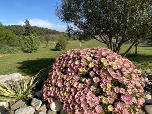 Villas Tranquil Villa with Pool : photos des chambres
