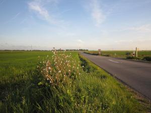 Maisons de vacances Spacious Cottage with Private Garden in Normandy : photos des chambres