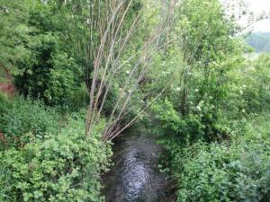 Maisons de vacances Spacious Cottage with Private Garden in Normandy : Maison de Vacances 2 Chambres