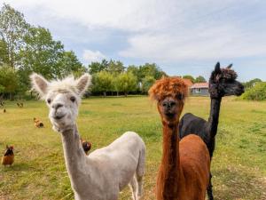 Holiday Home Koudekerke Near Beaches