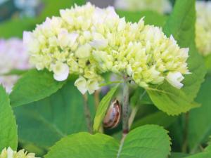 Comfortable apartment in quaint holiday village