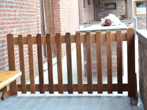 Holiday home in Cul-des-Sarts with roofed terrace