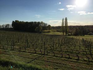 Villas Luxury Villa in Wine Country : photos des chambres
